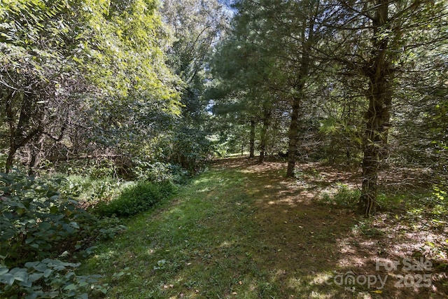 99999 Rocky Holw Unit 2, Weaverville, NC 28787 - photo 11