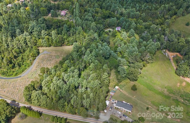 99999 Rocky Holw Unit 2, Weaverville, NC 28787 - photo 13