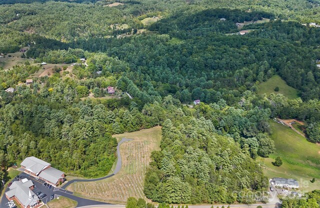 99999 Rocky Holw Unit 2, Weaverville, NC 28787 - photo 14