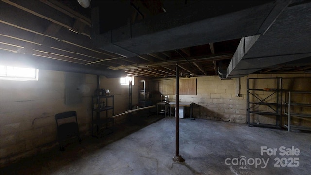 11 Season Ln, Asheville, NC 28805 - basement featuring plenty of natural light