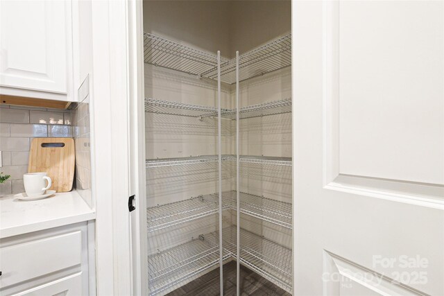 13024 Suncreek Ter, Charlotte, NC 28214 - view of pantry