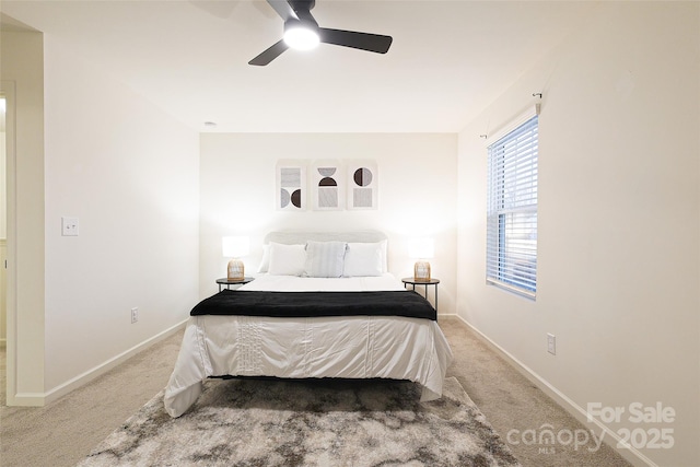 13024 Suncreek Ter, Charlotte, NC 28214 - bedroom with carpet, baseboards, and ceiling fan