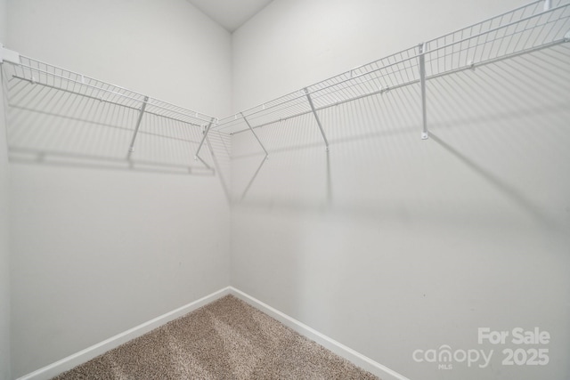 117 Cramerton Mills Parkway, Cramerton, NC 28032 - walk in closet with carpet flooring