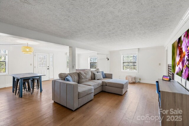 203 Davis Mountain Rd, Laurel Park, NC 28739 - living room with healthy amount of natural light, wood-type flooring, and a textured ceiling