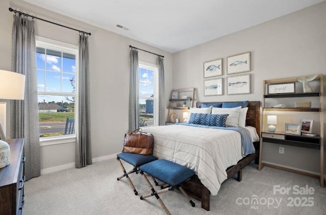 324 Basil Dr, Indian Trail, NC 28079 - bedroom featuring carpet and baseboards