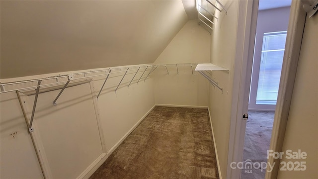 spacious closet featuring vaulted ceiling and dark colored carpet