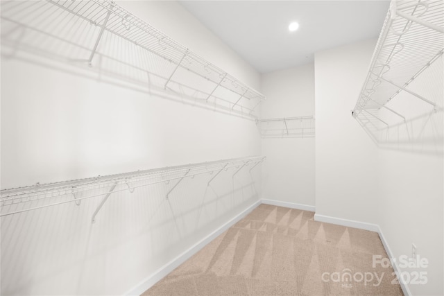 walk in closet featuring light colored carpet