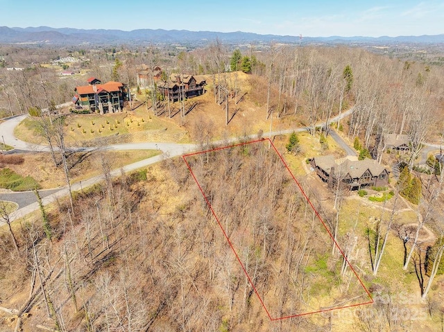 61 Ben Lippen School Rd, Asheville, NC 28806