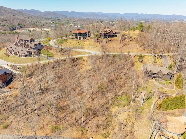 61 Ben Lippen School Rd, Asheville, NC 28806