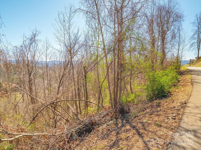 61 Ben Lippen School Rd, Asheville, NC 28806