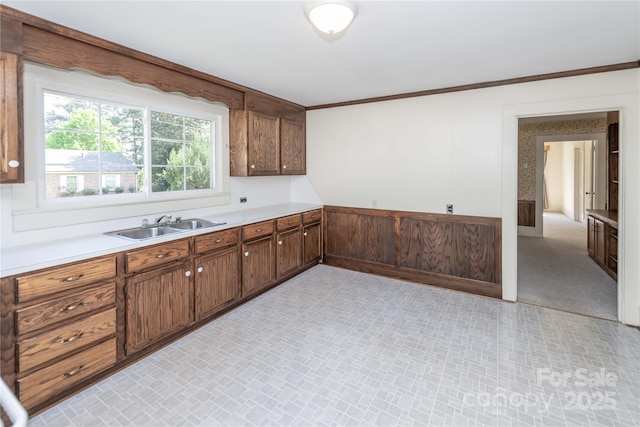 kitchen with light countertops, ornamental molding, and a sink
