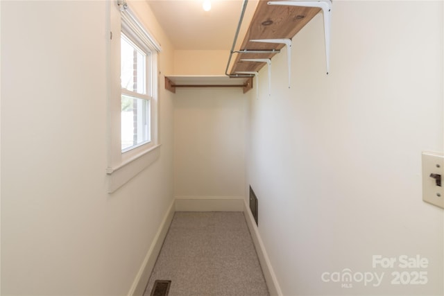 spacious closet featuring carpet floors and visible vents