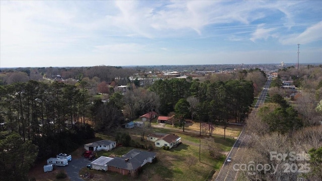 drone / aerial view