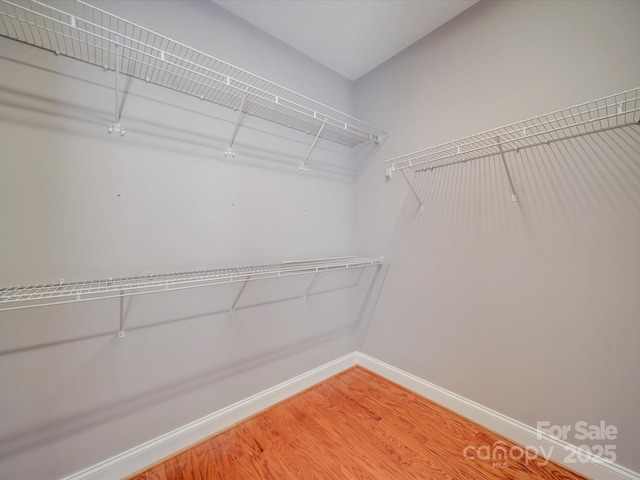 4118 Compostela Ct, Monroe, NC 28110 - walk in closet featuring attic access and light wood-style floors