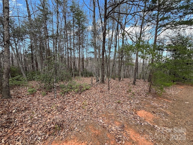 00 Grouse Ridge Dr, Bostic, NC 28018