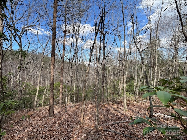 00 Grouse Ridge Dr, Bostic, NC 28018