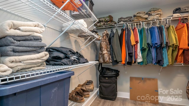 28 Arnie Dr, Etowah, NC 28729 - spacious closet with wood finished floors