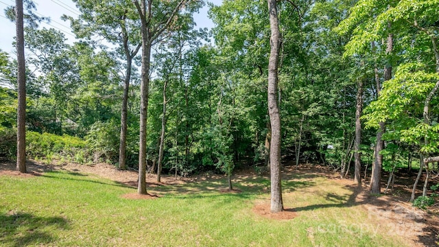 28 Arnie Dr, Etowah, NC 28729 - view of yard