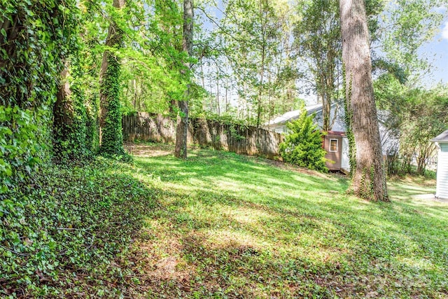 6628 Cool Water Ct, Charlotte, NC 28215 - view of yard