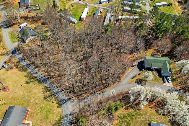 LOT4 Quiet Woods Dr, Leicester, NC 28748 - photo 2