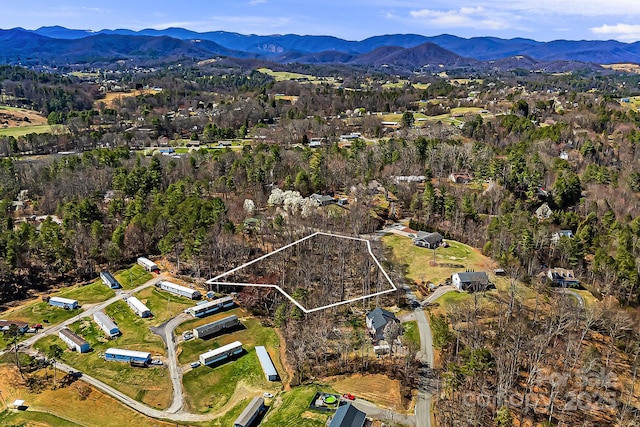 LOT4 Quiet Woods Dr, Leicester, NC 28748 - photo 4