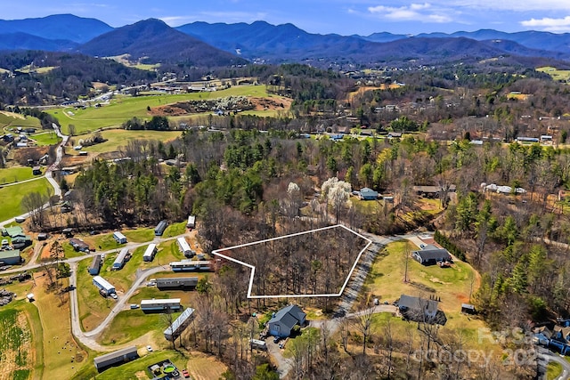 LOT4 Quiet Woods Dr, Leicester, NC 28748 - photo 5
