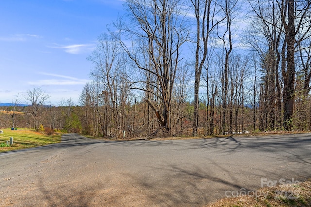 LOT4 Quiet Woods Dr, Leicester, NC 28748 - photo 7