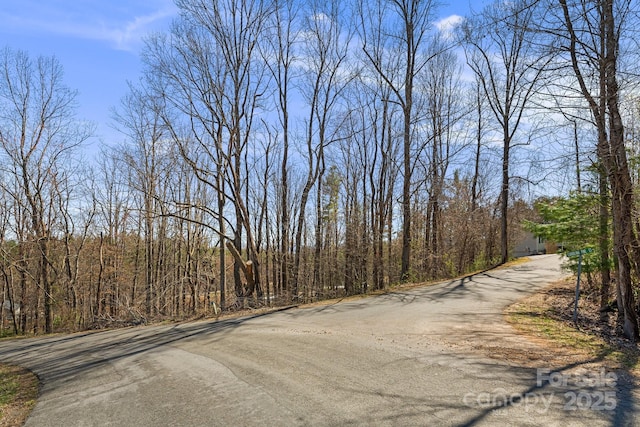 LOT4 Quiet Woods Dr, Leicester, NC 28748 - photo 8