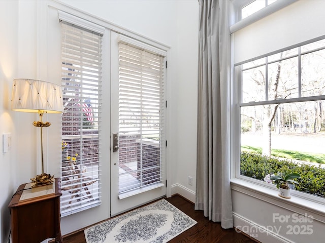 6301 Park Dr S, Charlotte, NC 28210 - doorway to outside with healthy amount of natural light, dark wood-type flooring, and baseboards