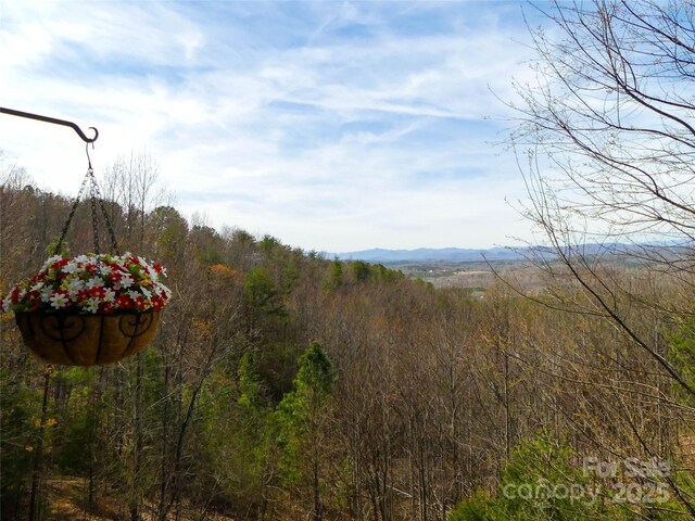 133 Saratoga Dr, Bostic, NC 28018 - view of mountain feature with a wooded view