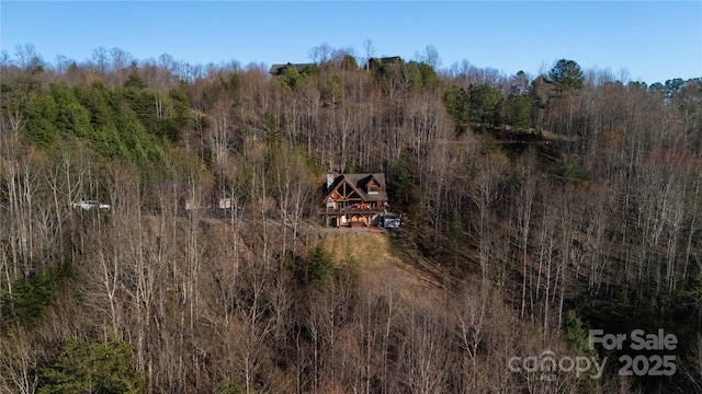 133 Saratoga Dr, Bostic, NC 28018 - drone / aerial view featuring a forest view
