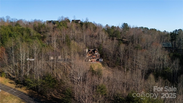 133 Saratoga Dr, Bostic, NC 28018 - drone / aerial view featuring a view of trees