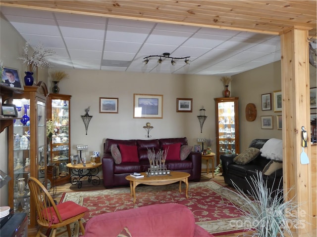 133 Saratoga Dr, Bostic, NC 28018 - living room featuring track lighting and a drop ceiling