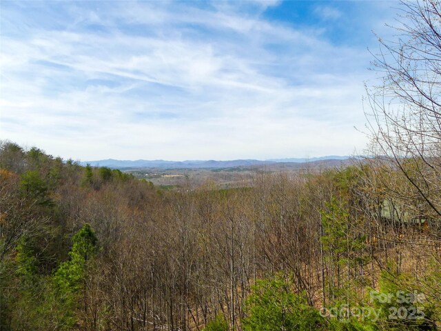 133 Saratoga Dr, Bostic, NC 28018 - mountain view