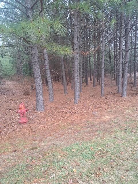 198 Water Oak Way, Mount Gilead, NC 27306