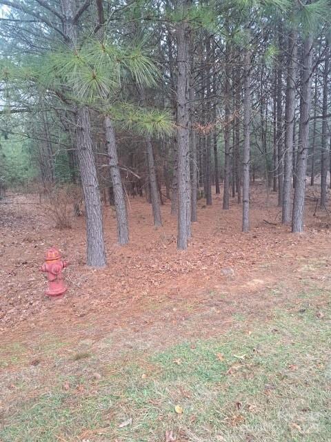 198 Water Oak Way, Mount Gilead, NC 27306
