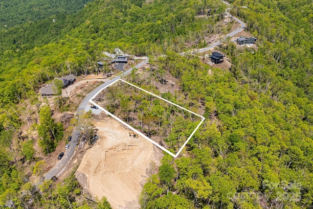 58 Mountain Grove Ln, Fletcher, NC 28732