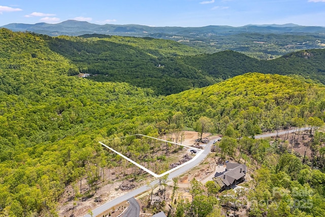 58 Mountain Grove Ln, Fletcher, NC 28732