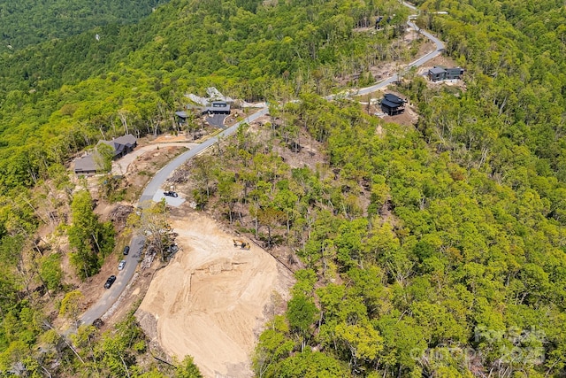 58 Mountain Grove Ln, Fletcher, NC 28732