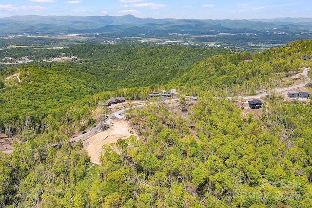 58 Mountain Grove Ln, Fletcher, NC 28732