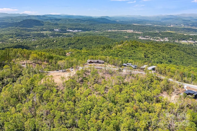 58 Mountain Grove Ln, Fletcher, NC 28732