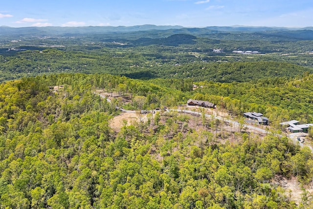 58 Mountain Grove Ln, Fletcher, NC 28732