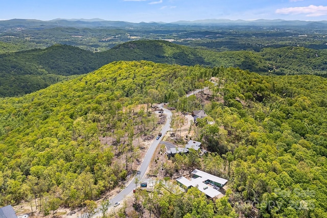 58 Mountain Grove Ln, Fletcher, NC 28732