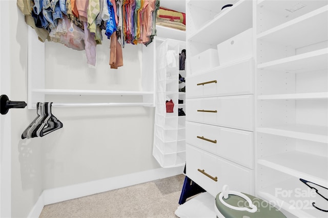 view of walk in closet