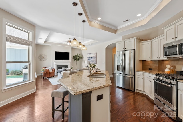 kitchen with a tray ceiling, a sink, tasteful backsplash, stainless steel appliances, and visible vents