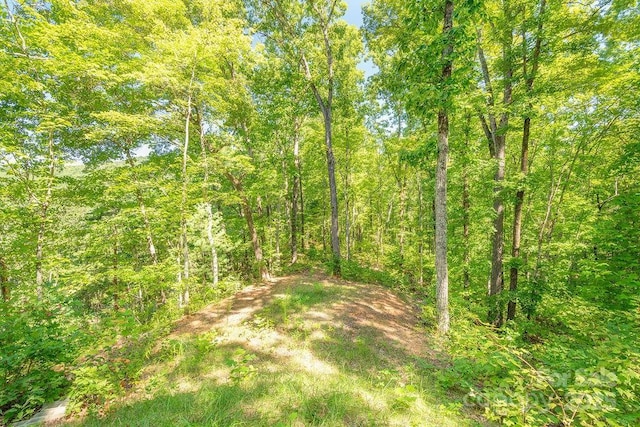 145 Mountain Forest Dr, Union Mills, NC 28167 - photo 30