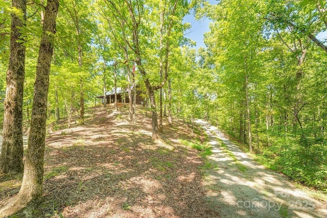 145 Mountain Forest Dr, Union Mills, NC 28167 - photo 31