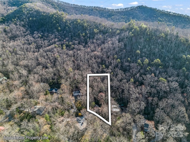 bird's eye view featuring a mountain view and a forest view