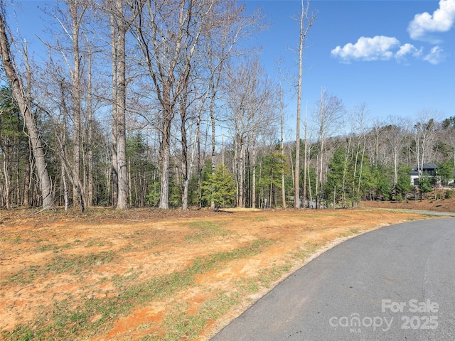 505 Hollow Trl, Asheville, NC 28803 - photo 1