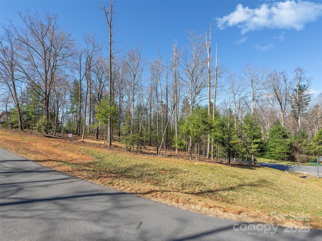 505 Hollow Trl, Asheville, NC 28803 - photo 2